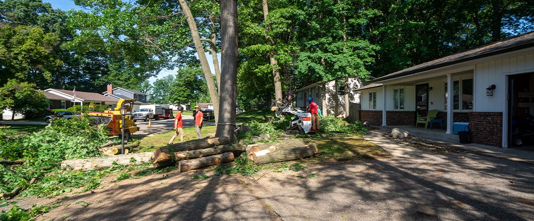 24 Hour Emergency Tree Services