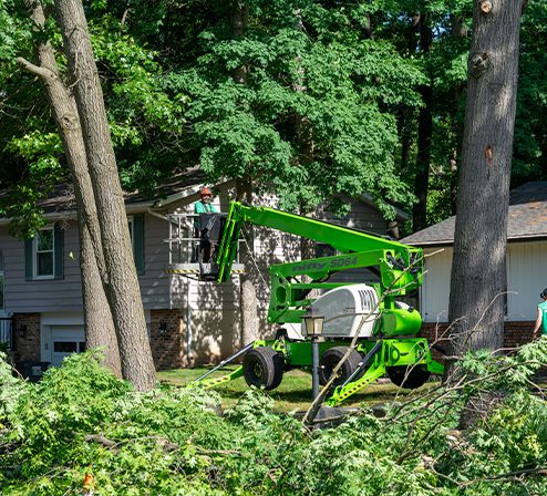 24 Hour Emergency Tree Services
