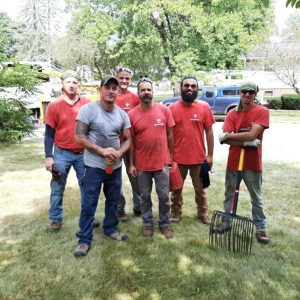 Seaben Tree Service