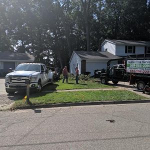 Seaben Tree Service