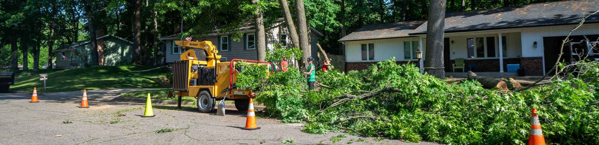 Emergency Tree Service