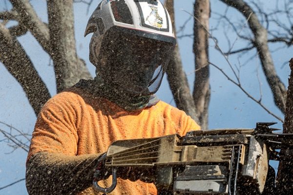 Emergency Tree Service