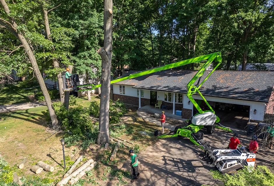 Trees Cutting Service Los Angeles County thumbnail