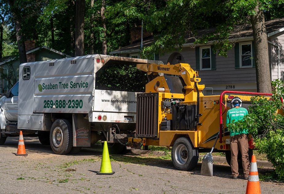 Seaben Tree Service