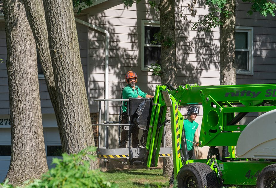 Experienced and Professional Tree Services in Kalamazoo
