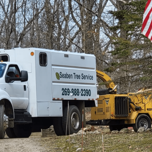 Seaben Tree Service
