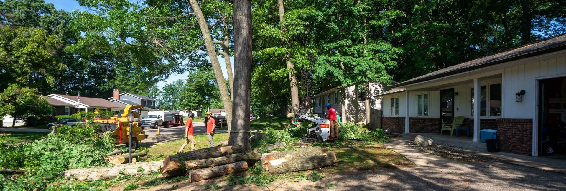 Cleanup and Disposal Services