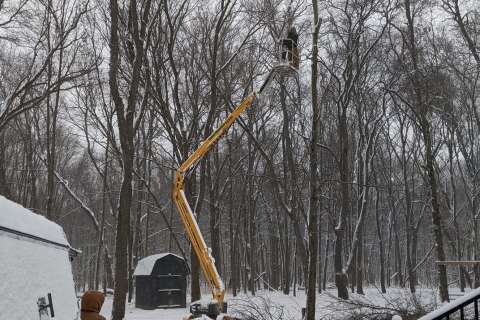 Get Tree Removal and Cleanup for Fall and Winter in Kalamazoo