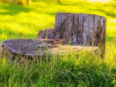 Stump Grinding