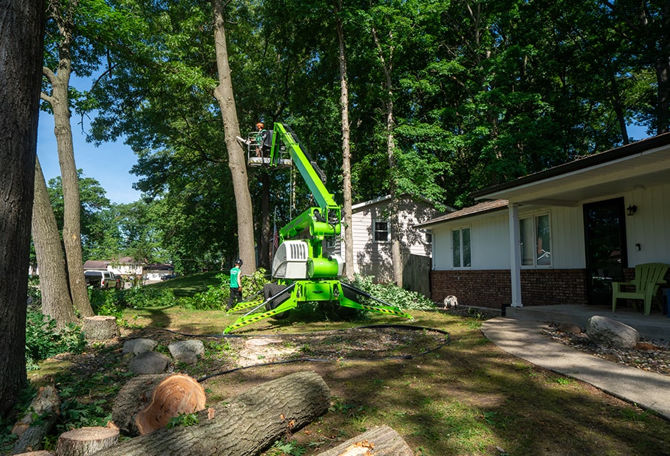 Tree Removal