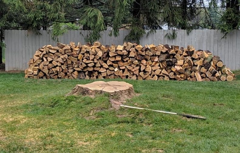 Seaben Tree Service
