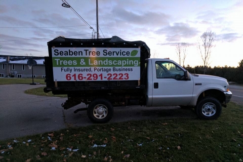 Springtime Tree Care Tips from Your Kalamazoo Tree Removal and Service Company