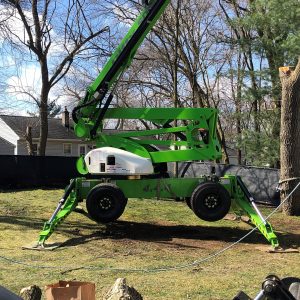 Seaben Tree Service
